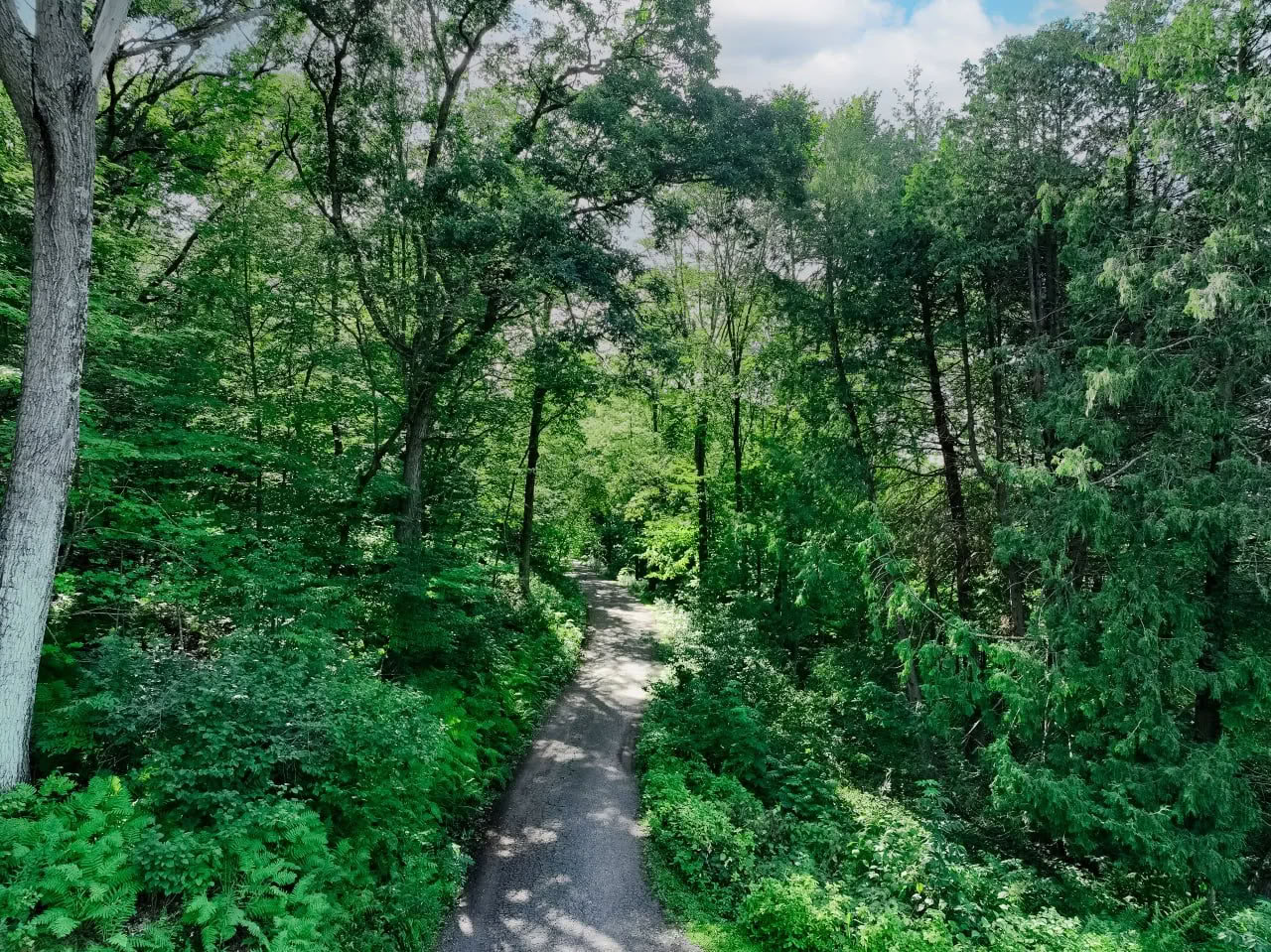 Caminando por el camino hacia tu mejor vida — Retiro en Lake Osceola