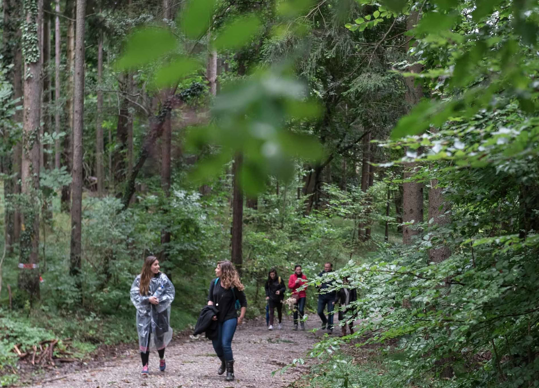 El buscador de los siete senderos | Gratis (agosto) — Retiro Lake Osceola