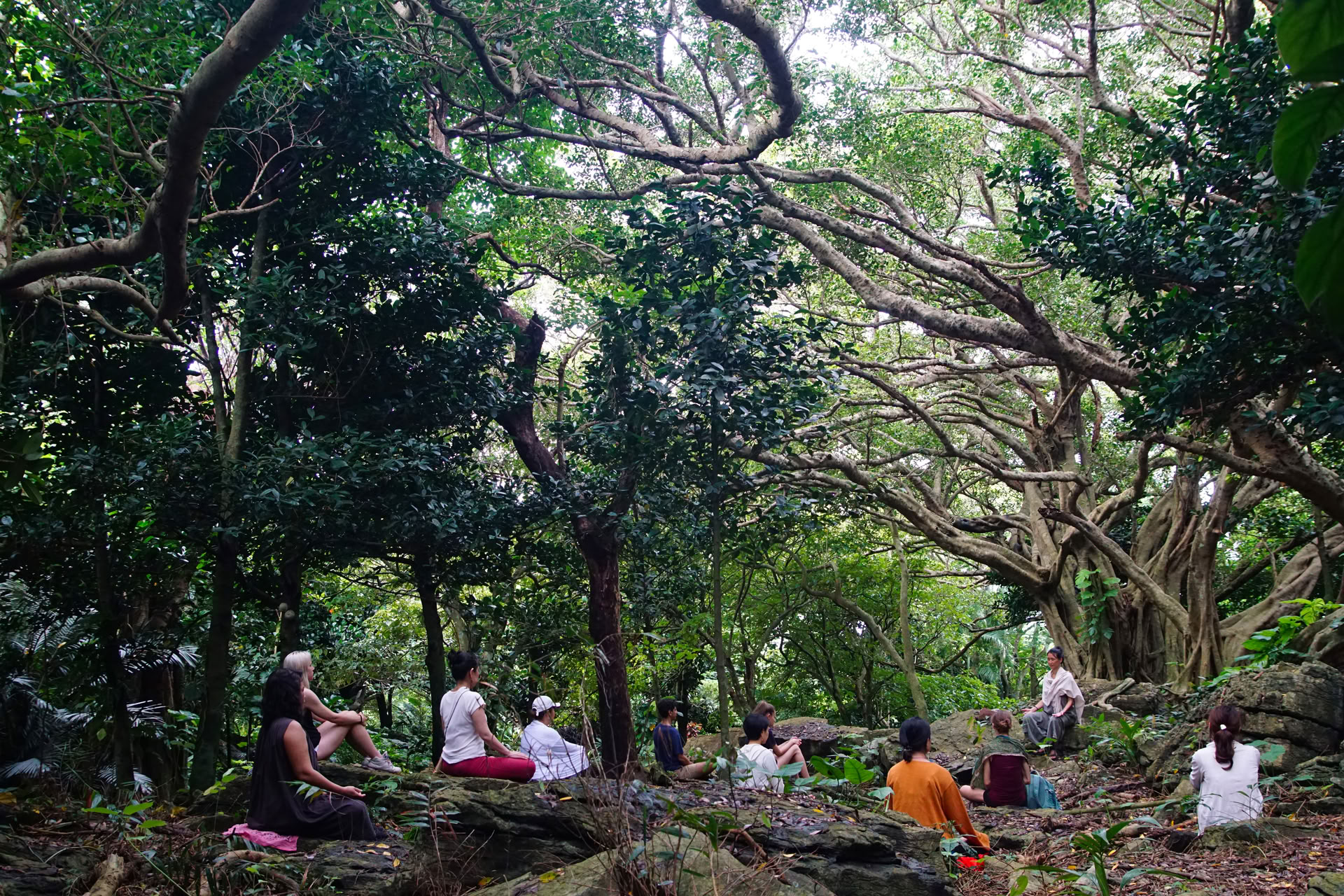 El arte de desacelerar: retiro de yoga y qigong con Yoga Kuukan