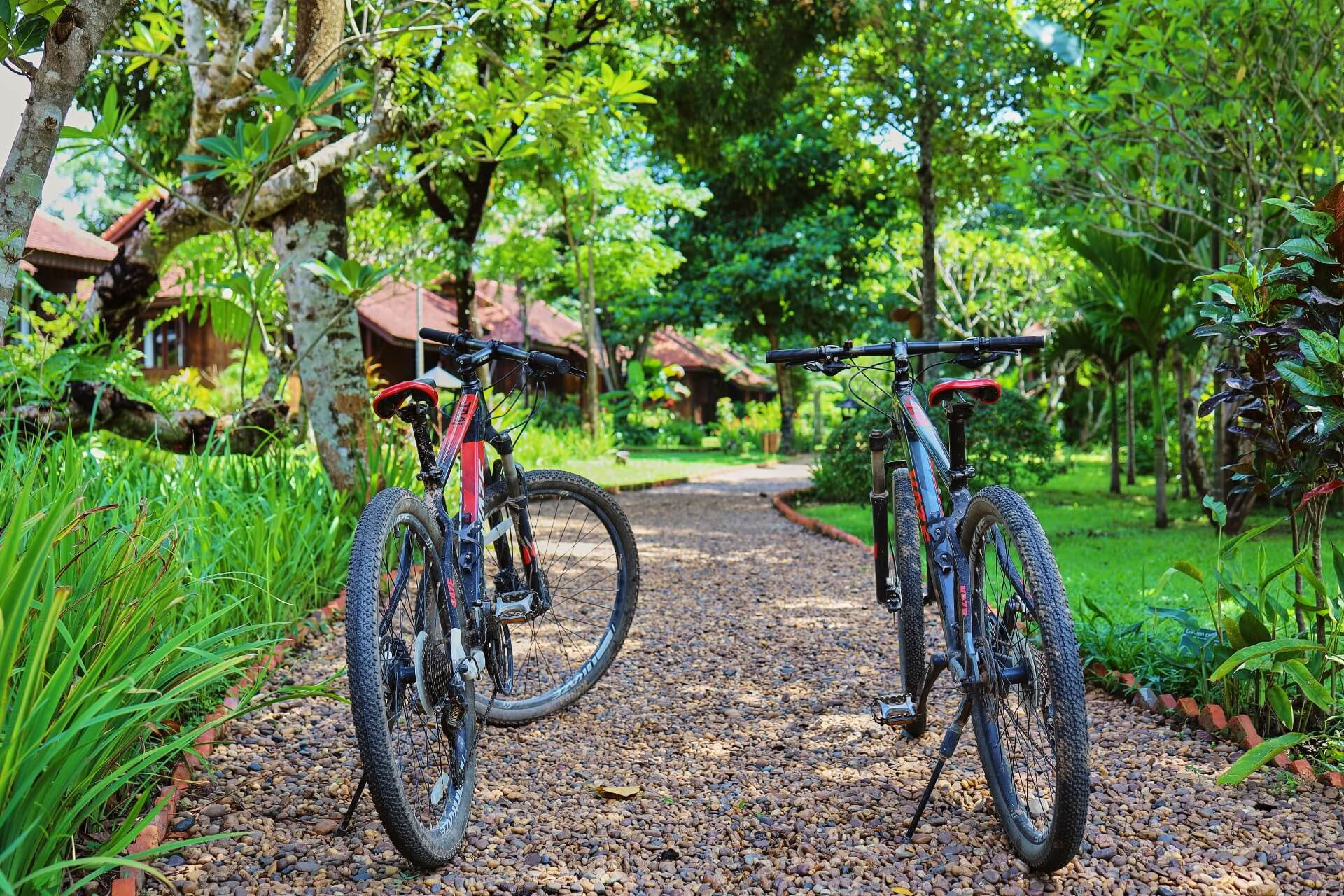 Recorrido en bicicleta