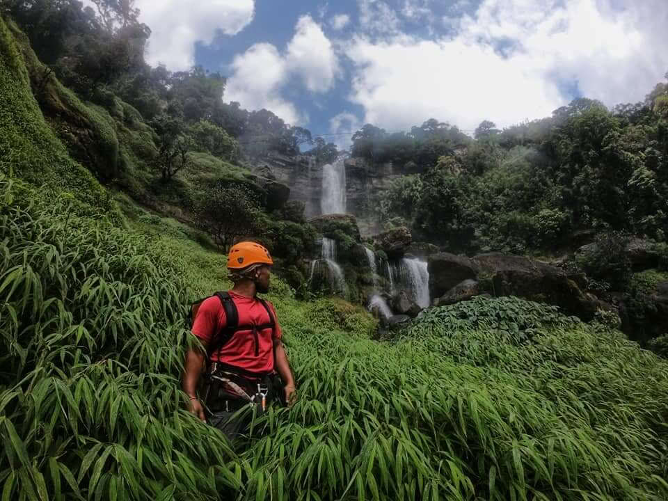 Explorador de las copas de los árboles