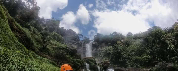 Explorador de las copas de los árboles