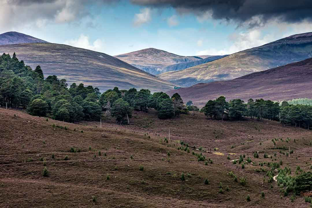 Retiro de yoga de 3 días en Escocia – 2–5 de octubre