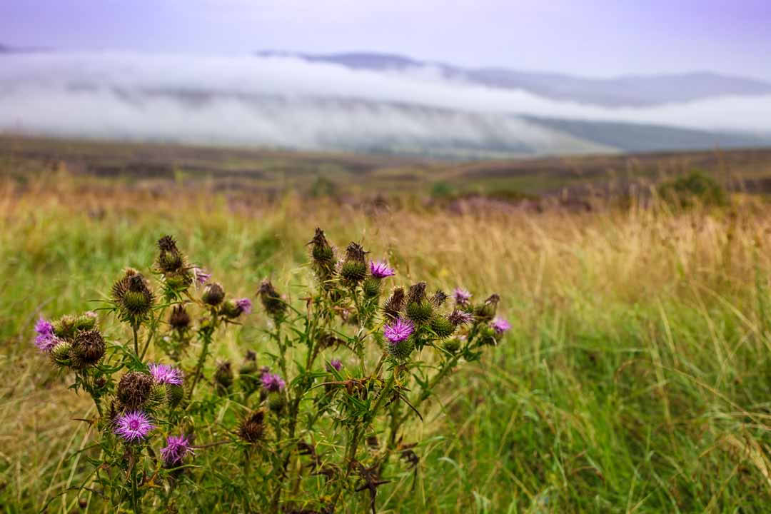 Aventura en las Tierras Altas