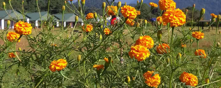 Retiro de yoga en Dhampus