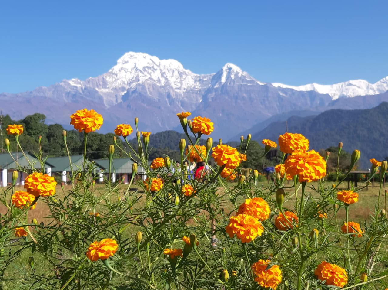 5 días/4 noches: retiro de yoga en Astam