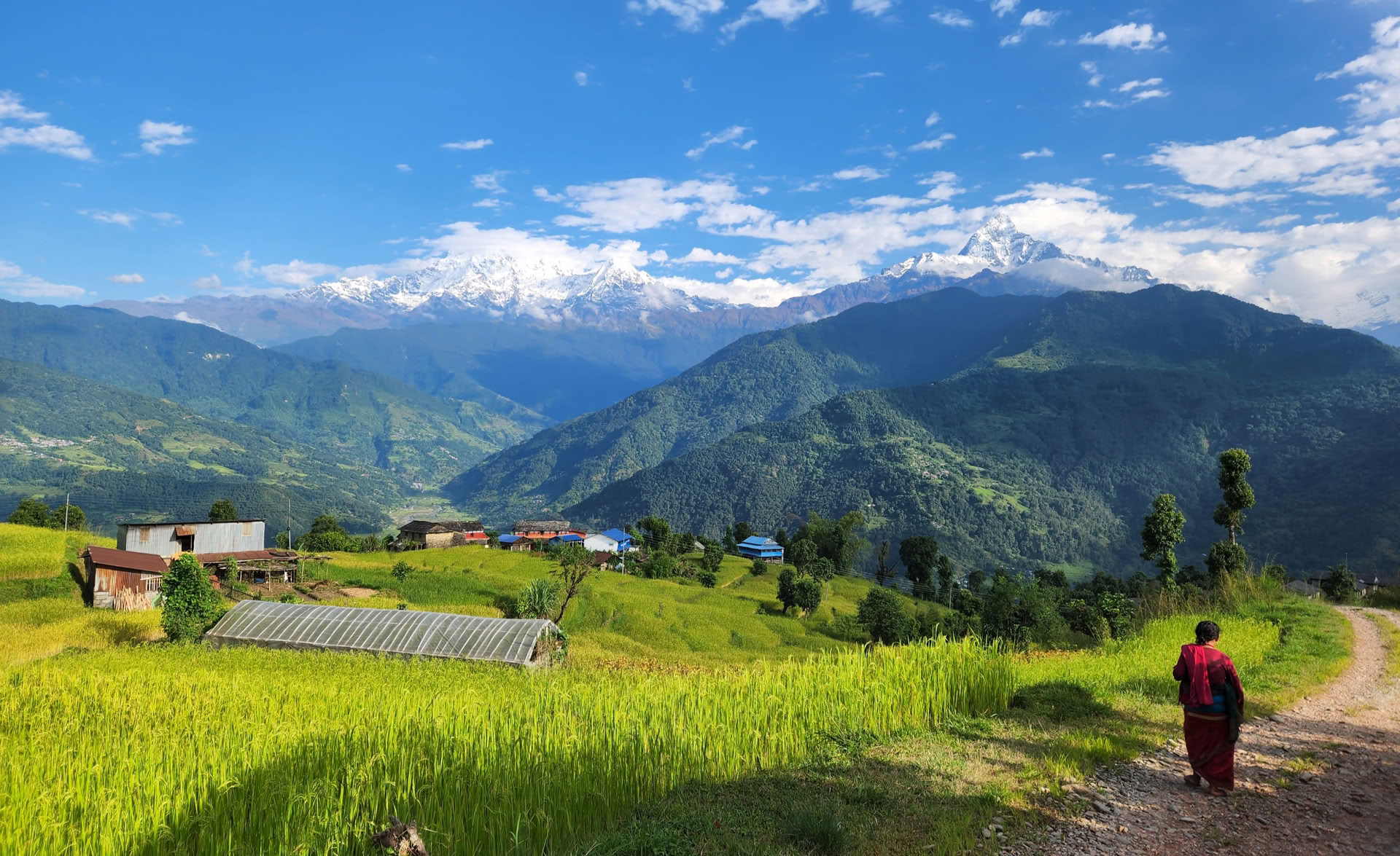 Curso de Formación de Profesores de Yoga con Vista al Himalaya (5 de octubre de 2026)