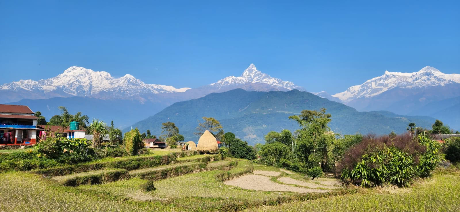 Curso de formación de profesores de yoga con vistas al Himalaya