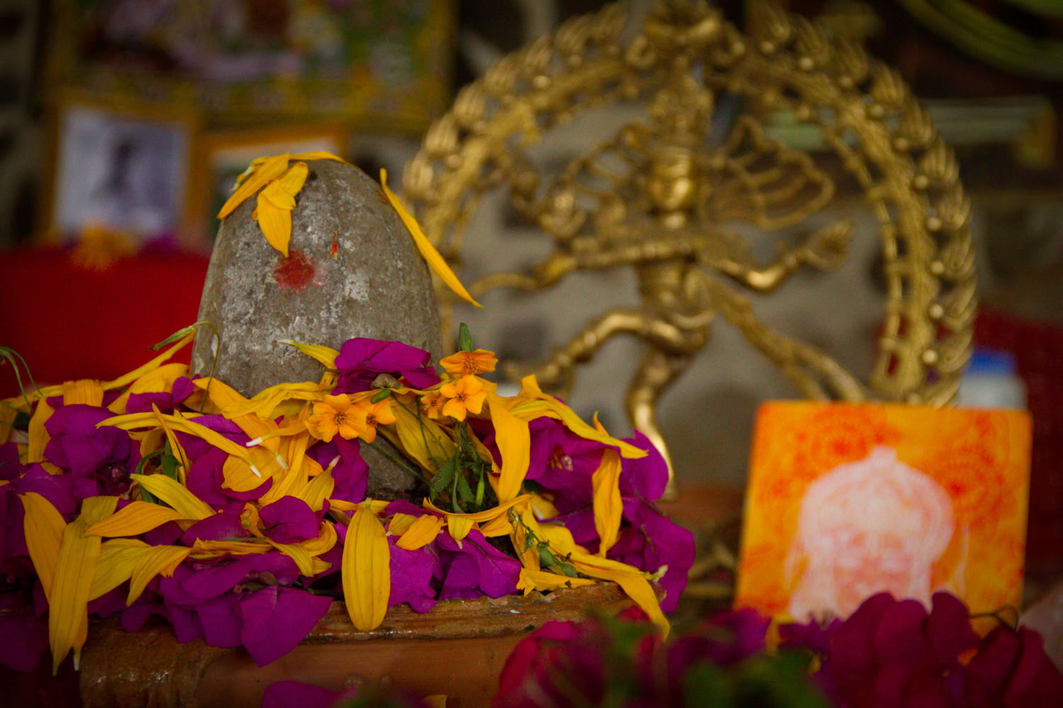 Introducción a la vipassana