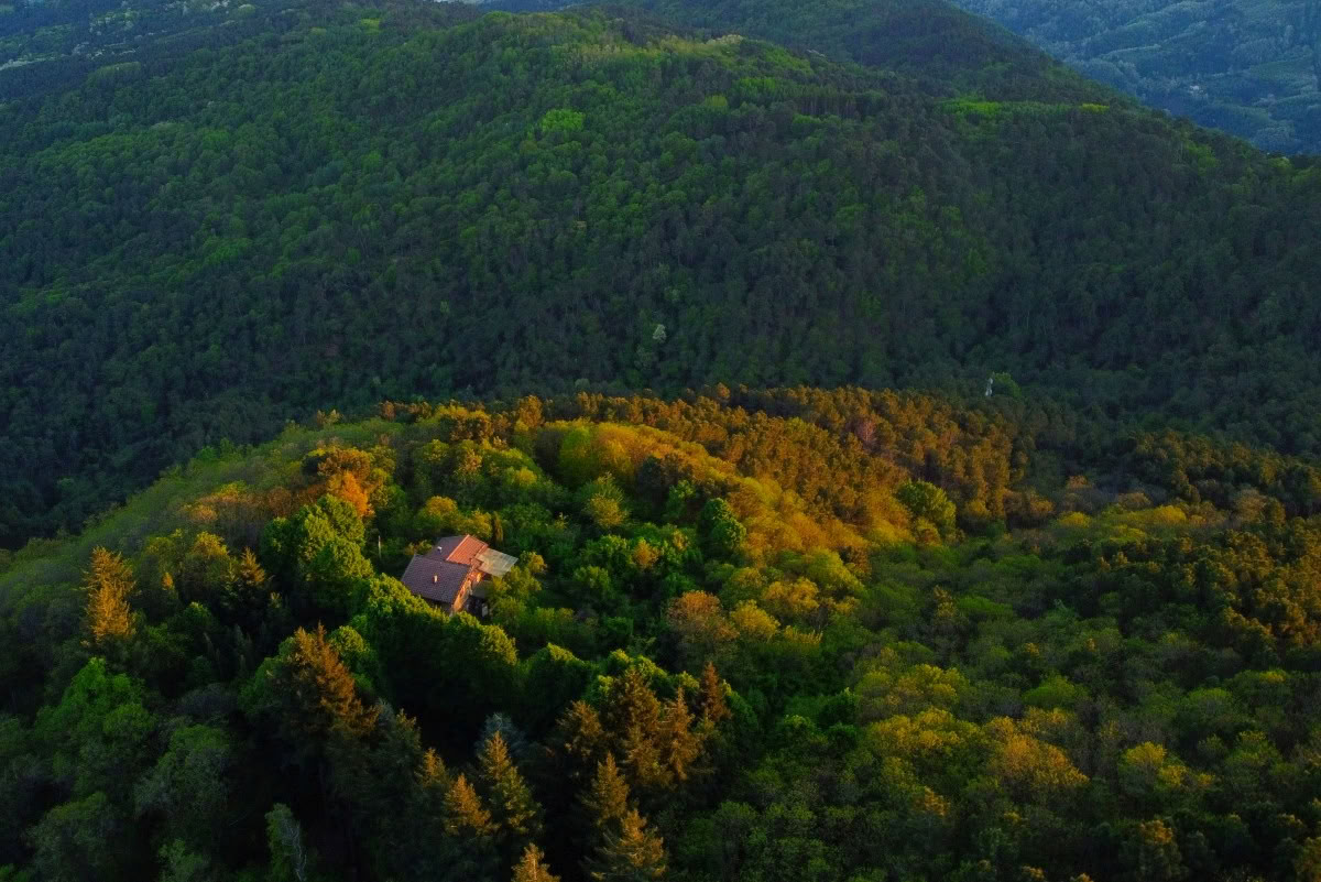 RYT de 200 horas · Toscana, Italia · Certificado por Yoga Alliance