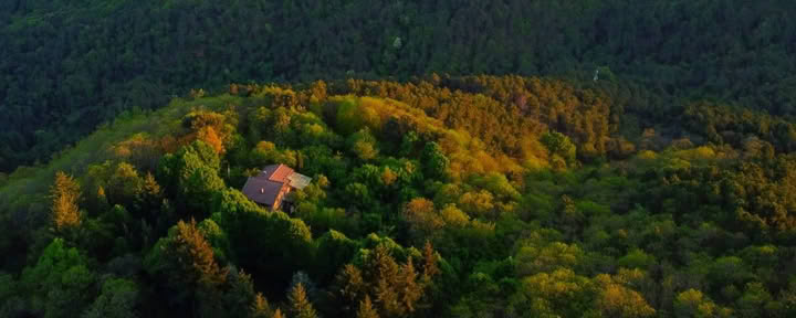 RYT de 200 horas · Toscana, Italia · Certificado por Yoga Alliance
