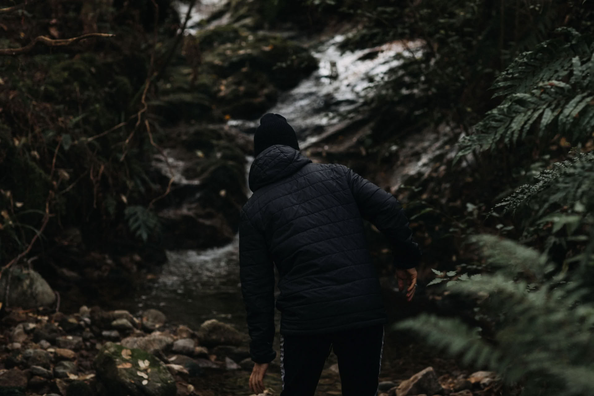 Reconéctate con la naturaleza