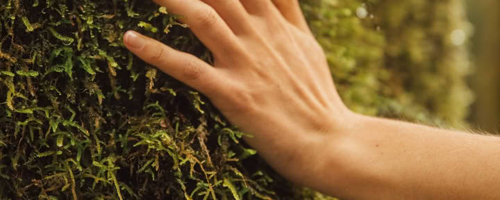 Reconéctate con la naturaleza