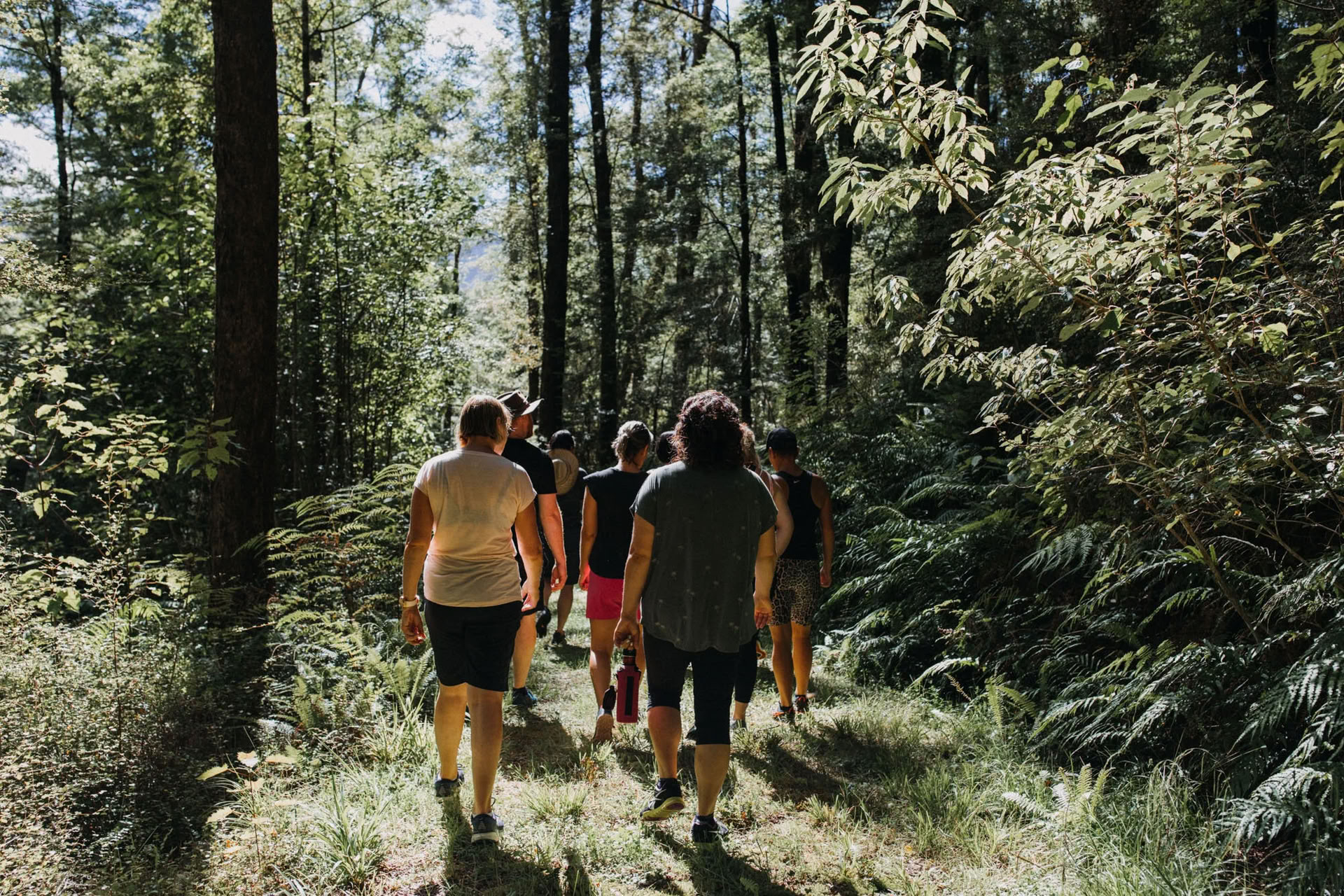 Retiro de naturaleza y yoga – Isla Sur, Nueva Zelanda con Joan Hyman