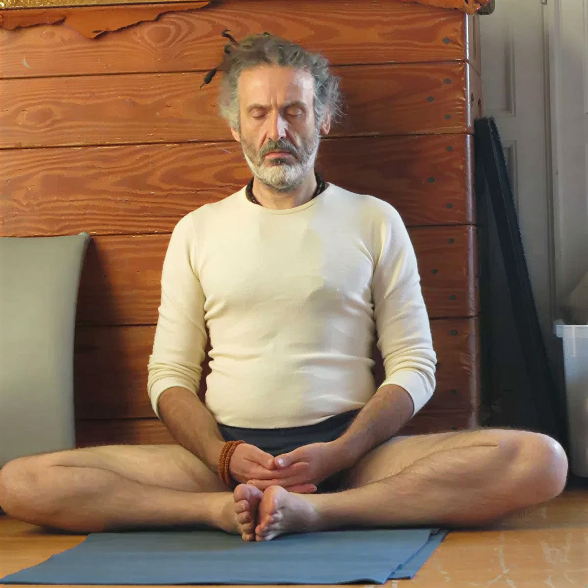 Seminario de Yoga Iyengar con Christian Pisano