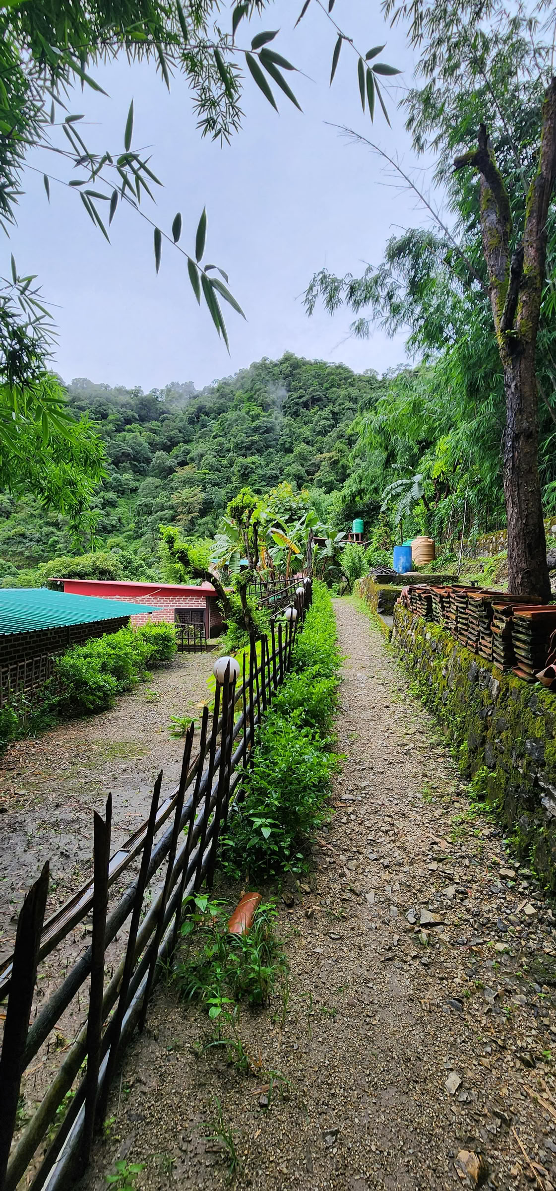 Retiro de 6 días de rendición en Rishikesh