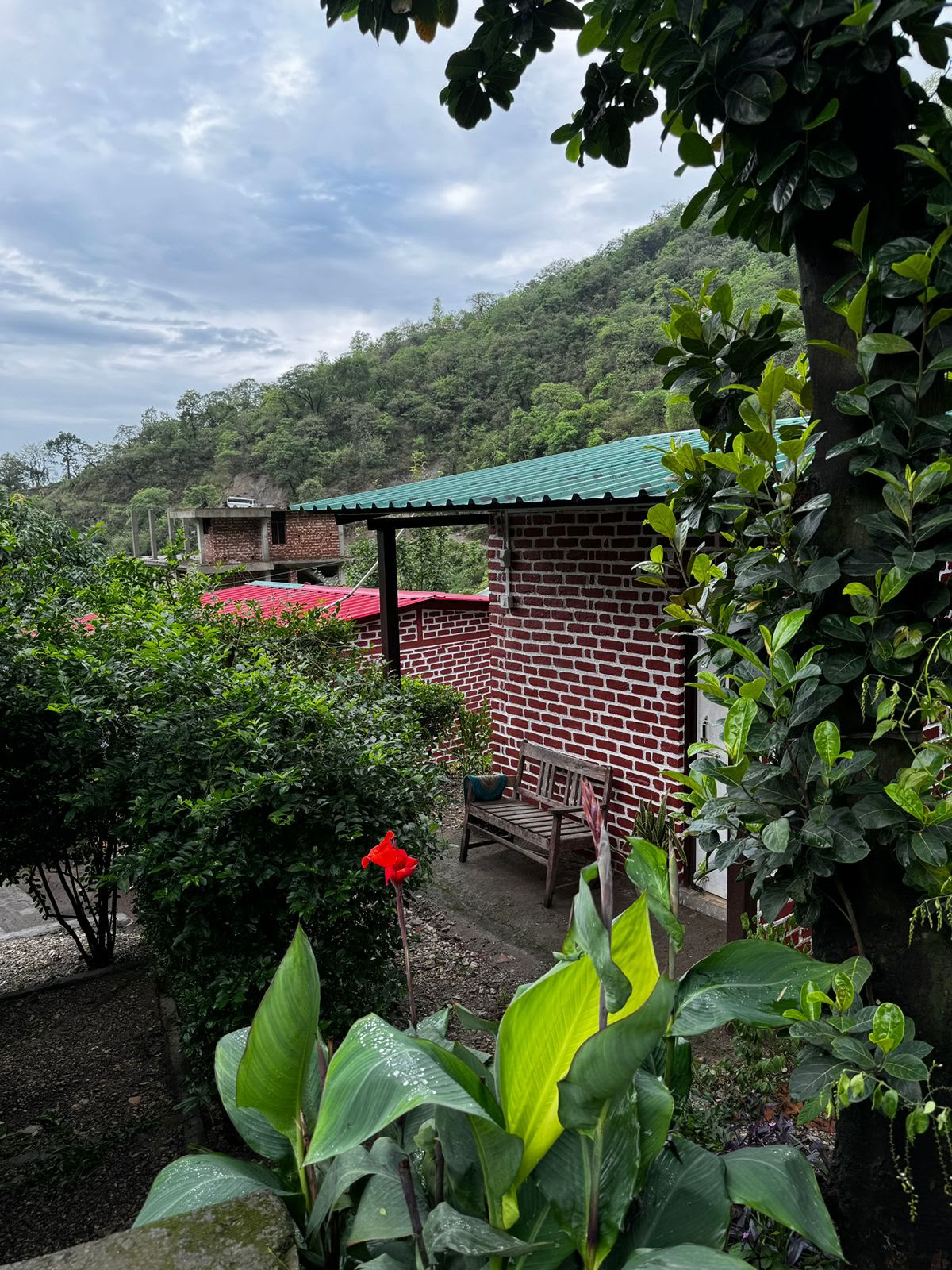 Retiro de 6 días de rendición en Rishikesh