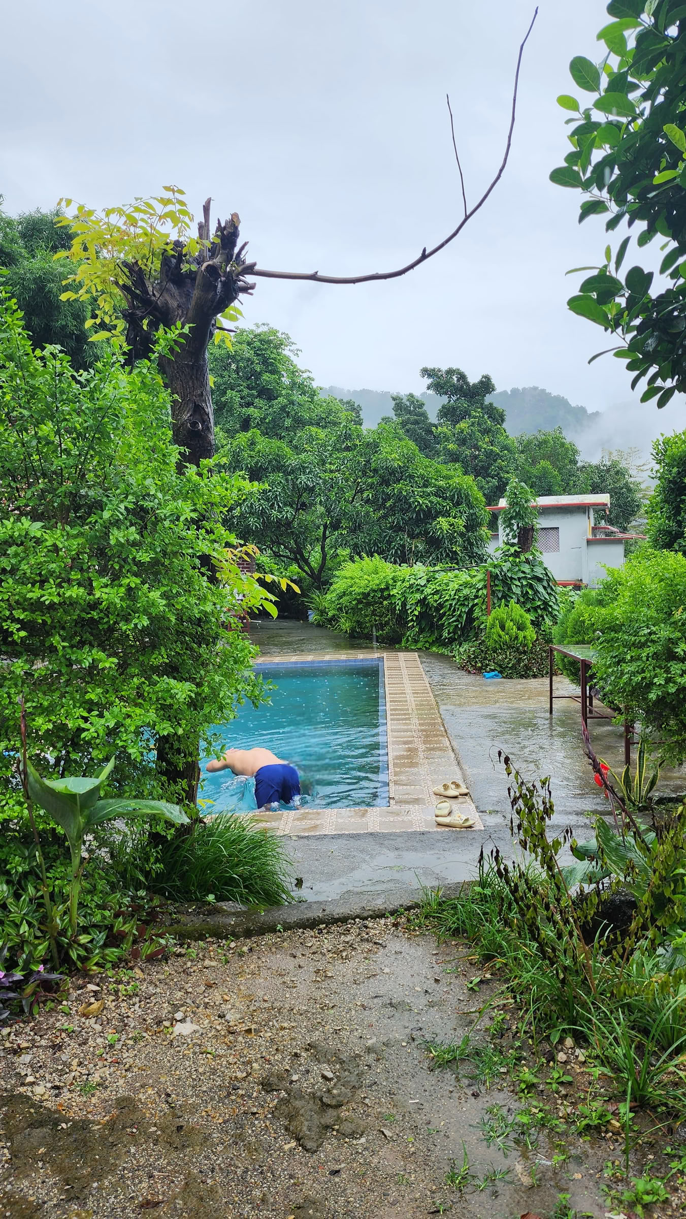 Retiro de 6 días de rendición en Rishikesh