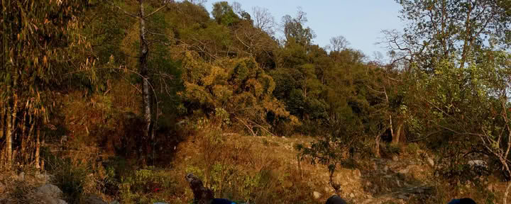 Yoga y ayuno: Renueva