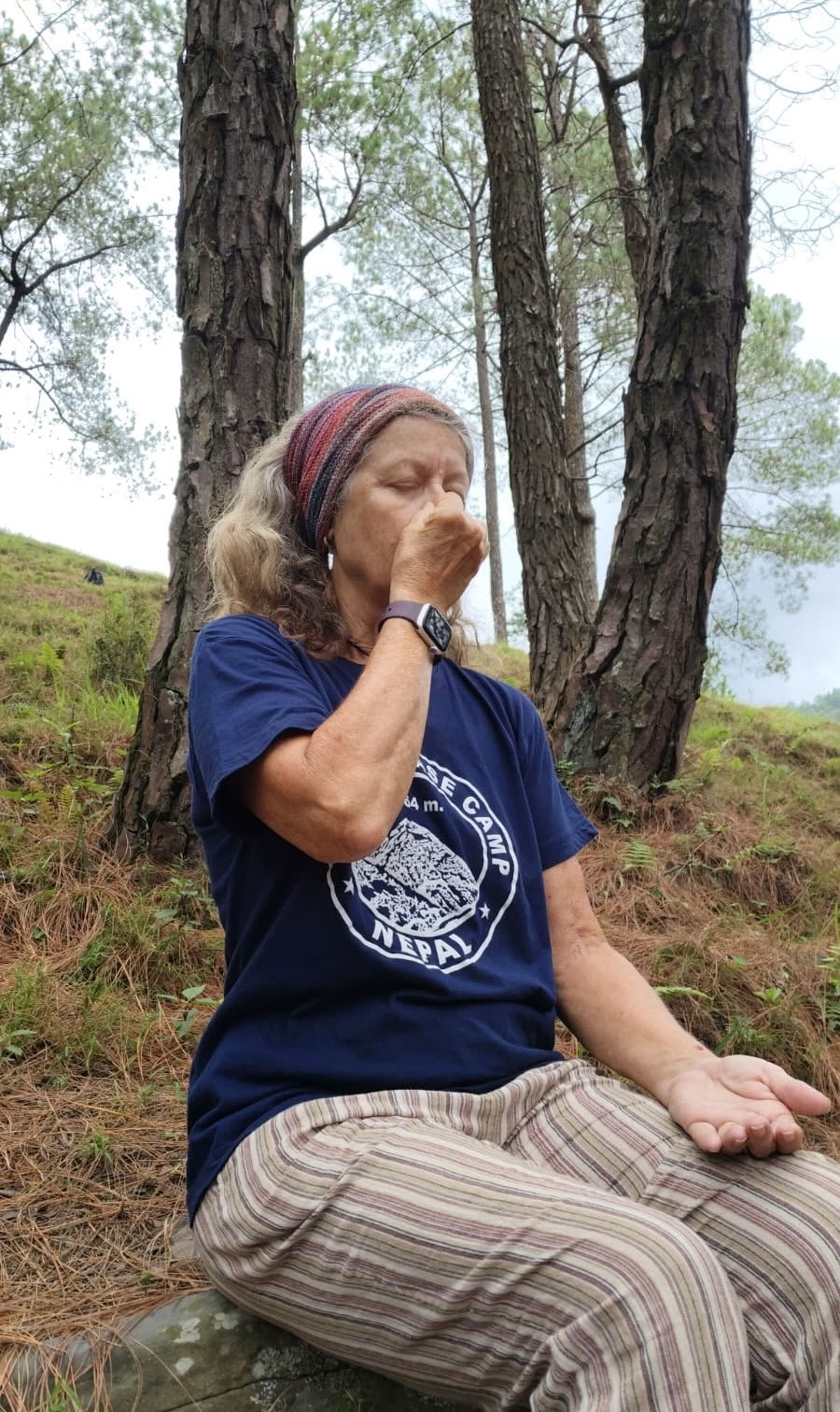 Rewild y realinea: mini retiro de un día