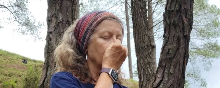 Rewild y realinea: mini retiro de un día