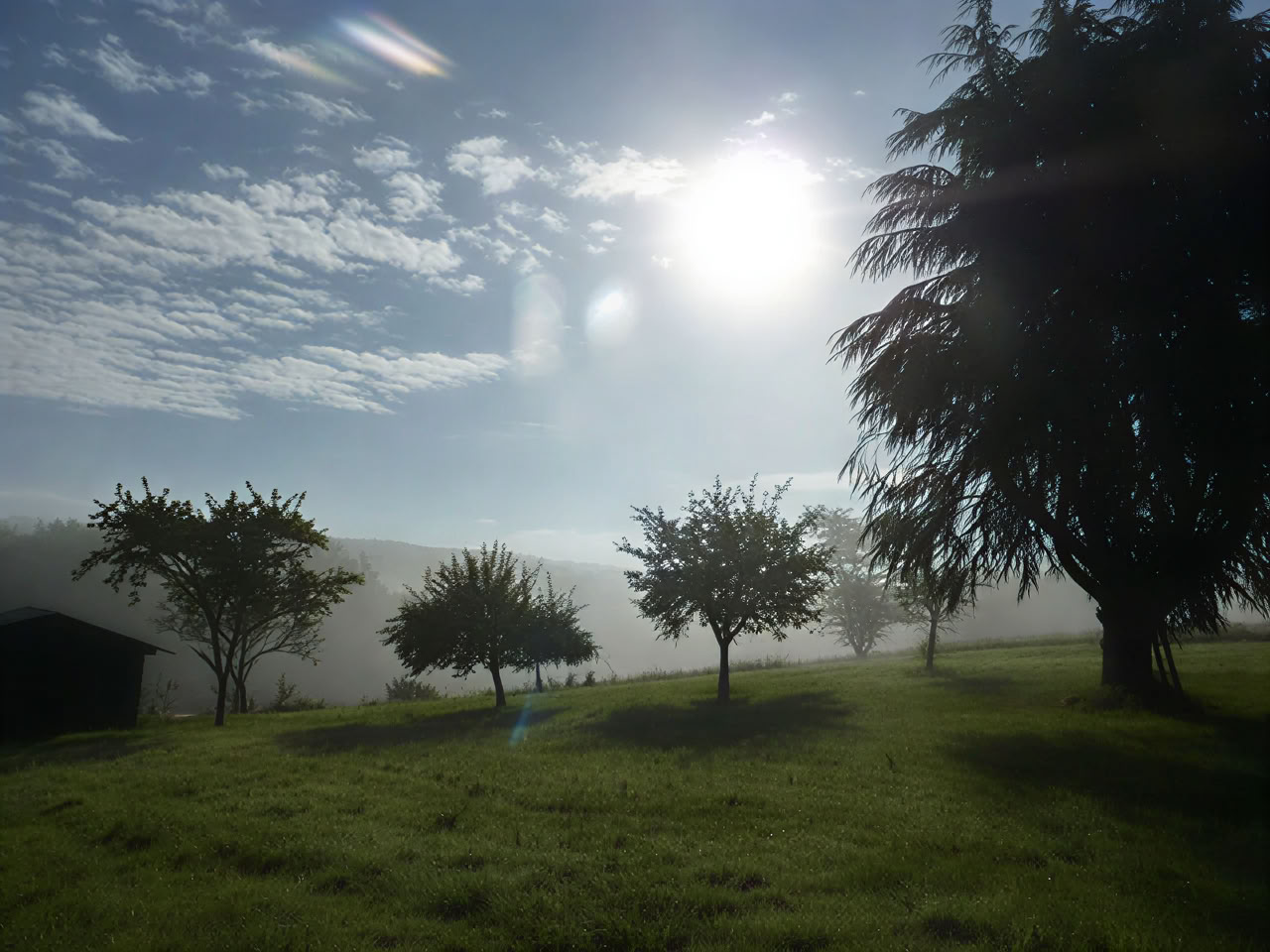 Yoga y mindfulness