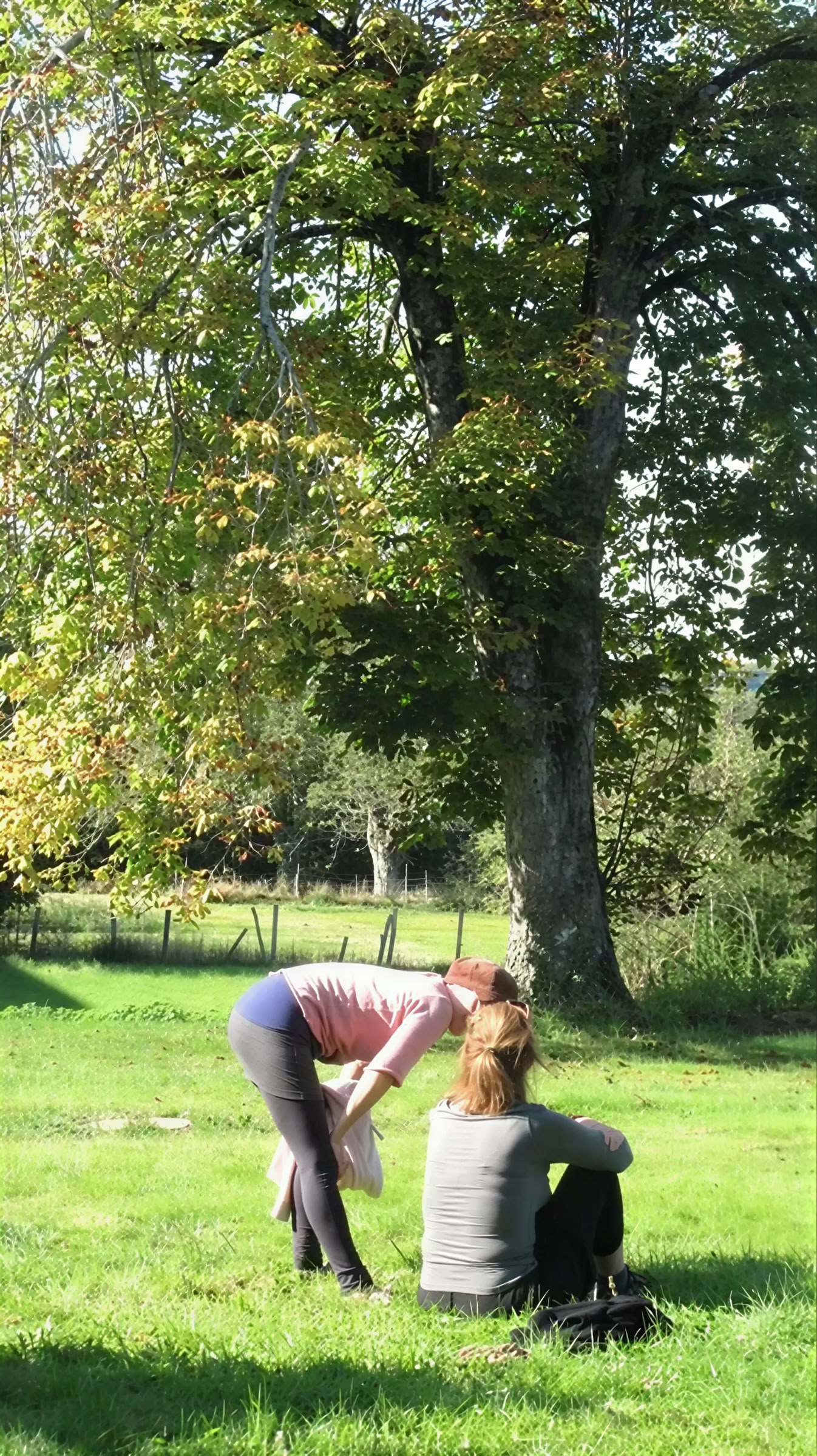 Yoga y mindfulness