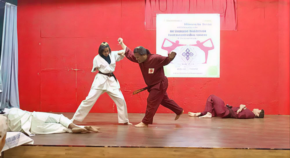 Curso de artes marciales Moxsh
