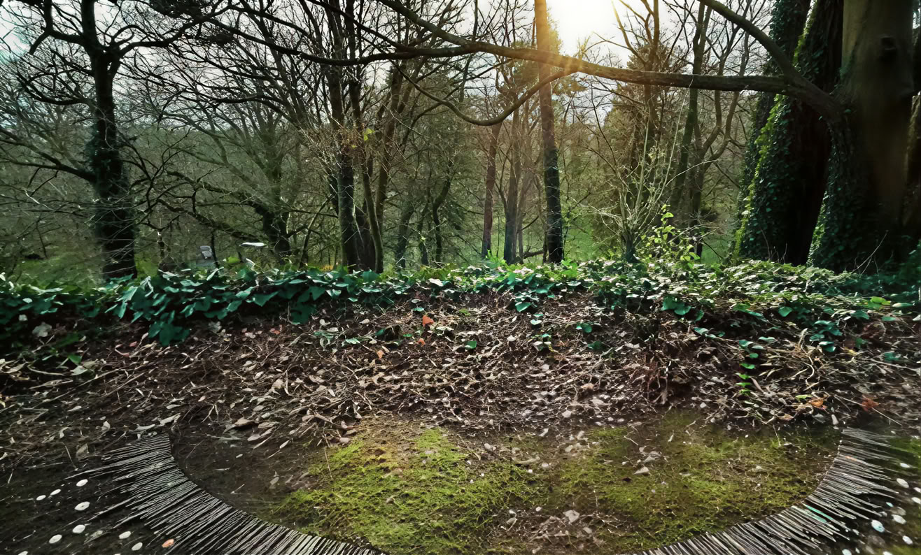 Vibración Consciente — Mucklagh Lodge