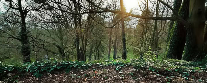 Vibración Consciente — Mucklagh Lodge