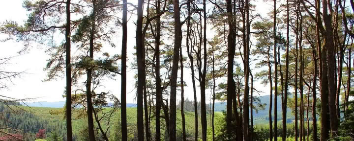 Regreso a Mucklagh - Samhain — Mucklagh Lodge