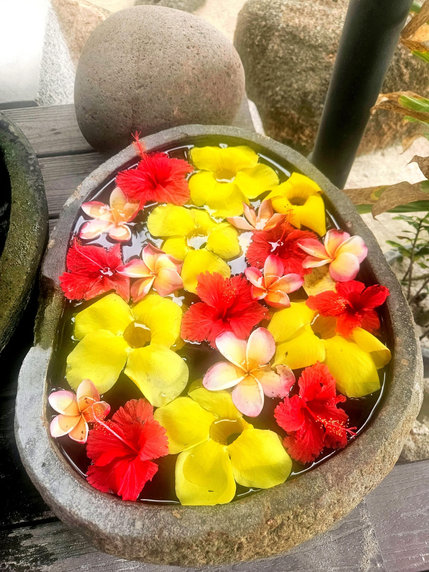 Retiro de yoga en Seychelles marzo de 2027