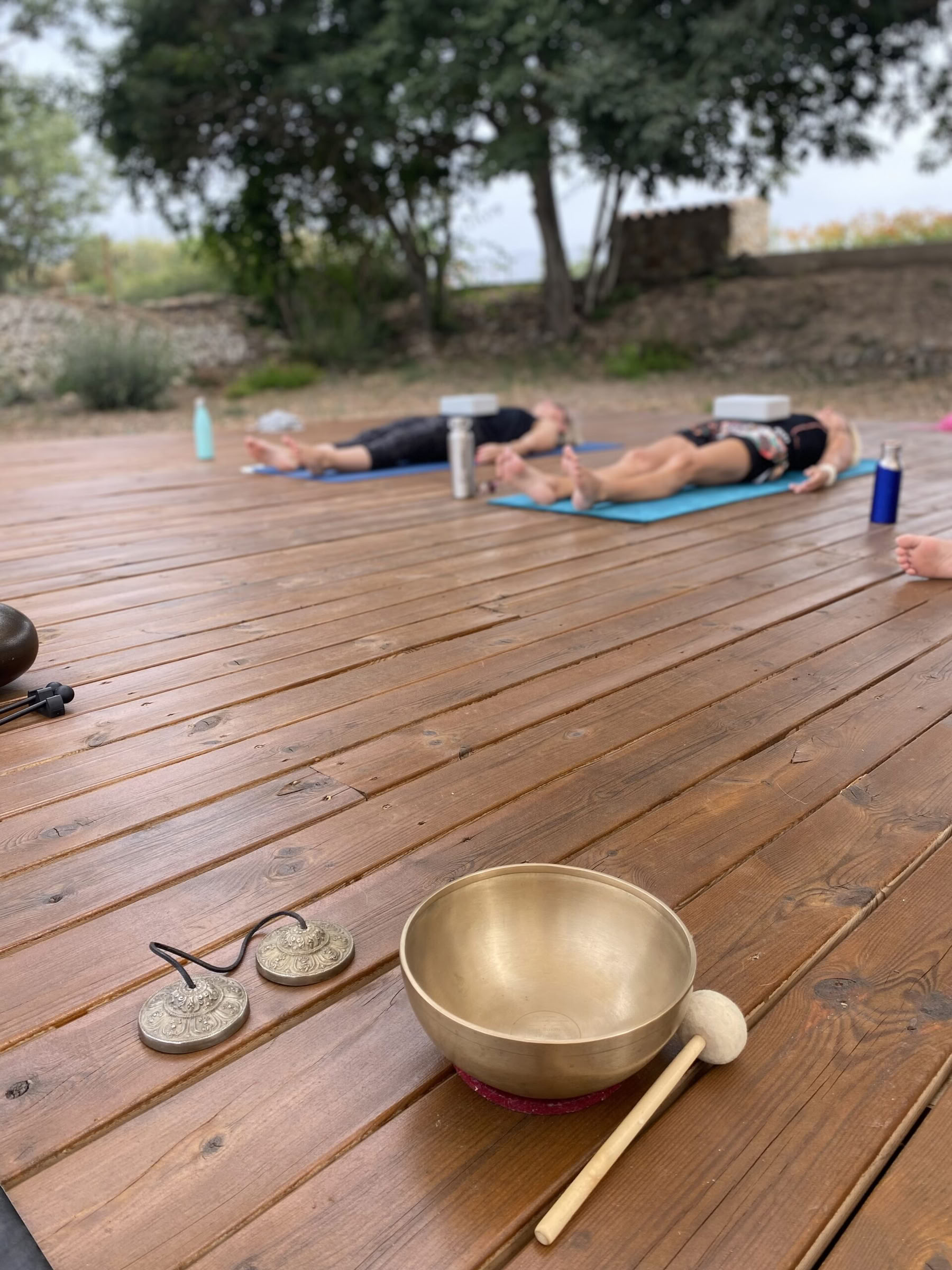 Formación de Profesores de Breathwork y Pranayama Nivel 1