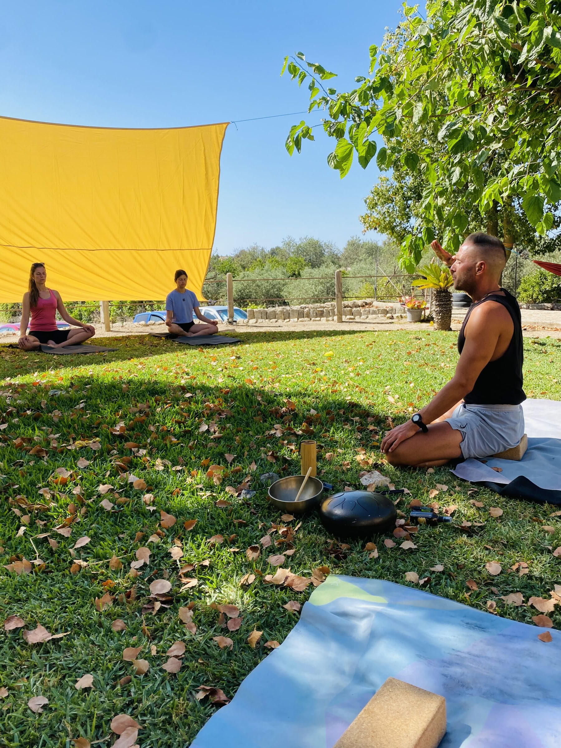 Formación de Profesores de Breathwork y Pranayama Nivel 1