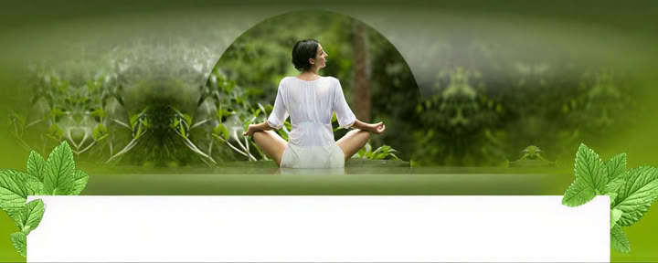 Curso de formación de profesores de Yoga Nidra de 200 horas y el antiguo secreto de la vida