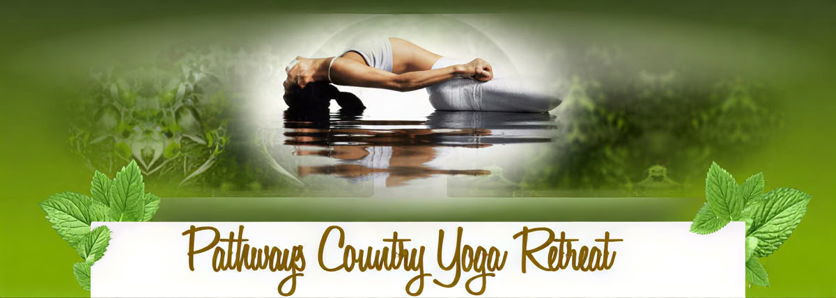 Formación de profesores de Yoga Nidra de 100 horas