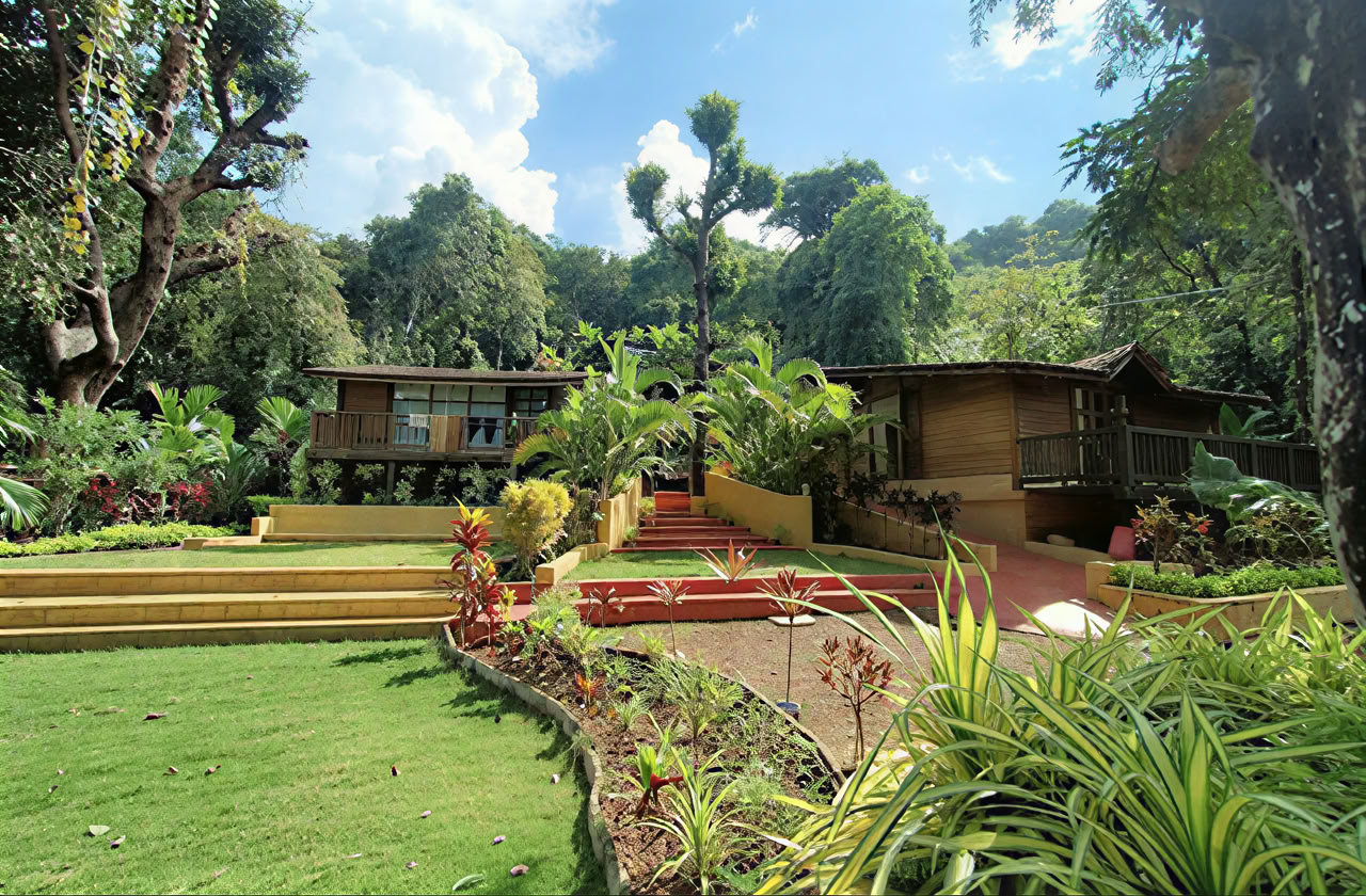 Curso básico de aprendizaje de Ayurveda