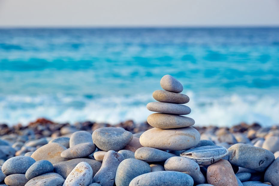 Una cosecha consciente de aceitunas