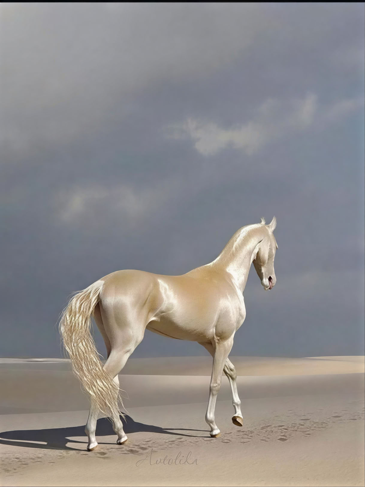 Año del Caballo – Cosecha y Liberación