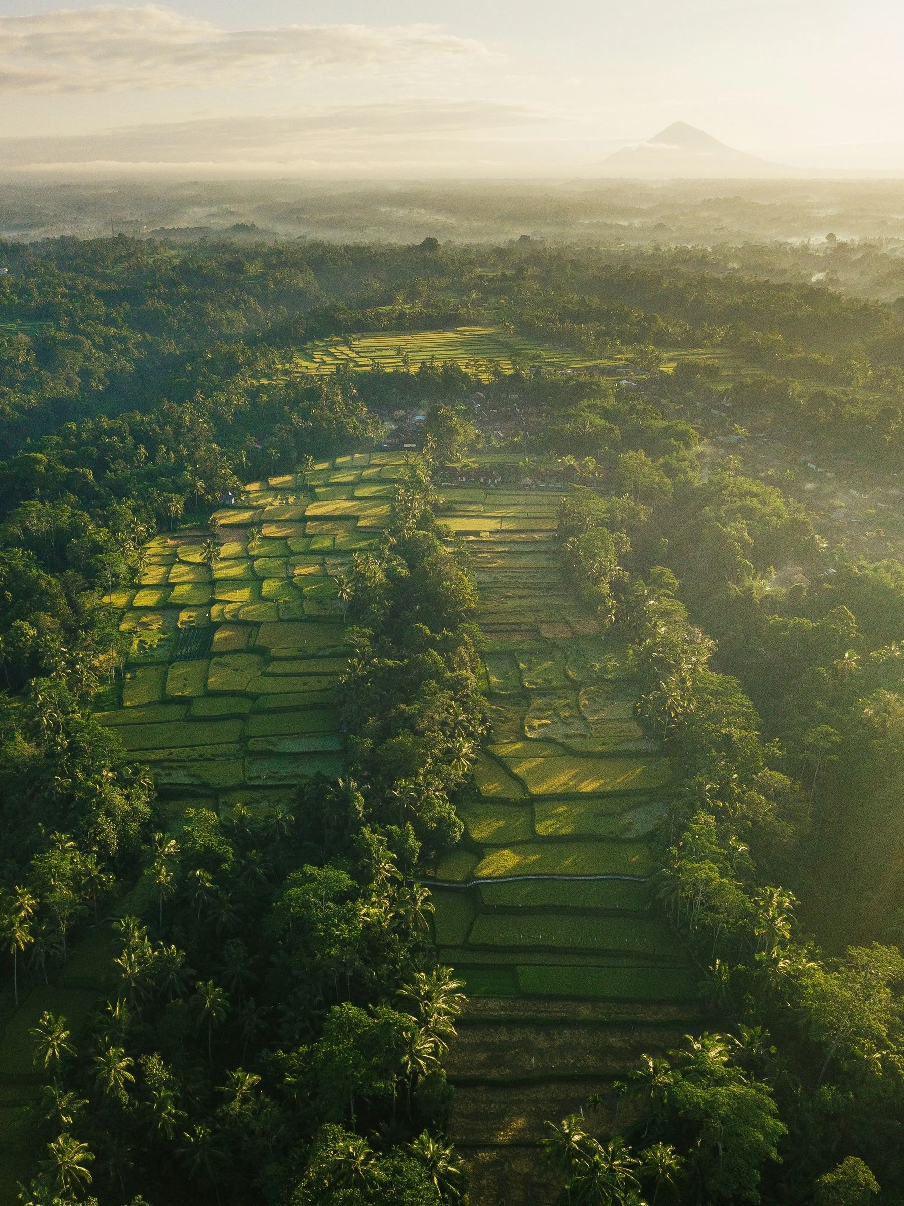 Bali fuera de los caminos trillados: día tranquilo en el oeste
