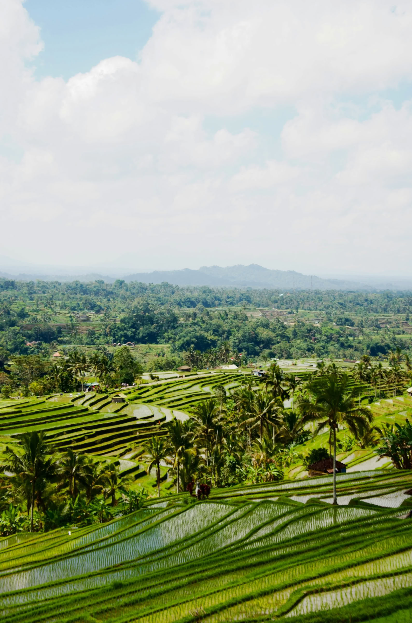 Bali fuera de los caminos trillados: día tranquilo en el oeste