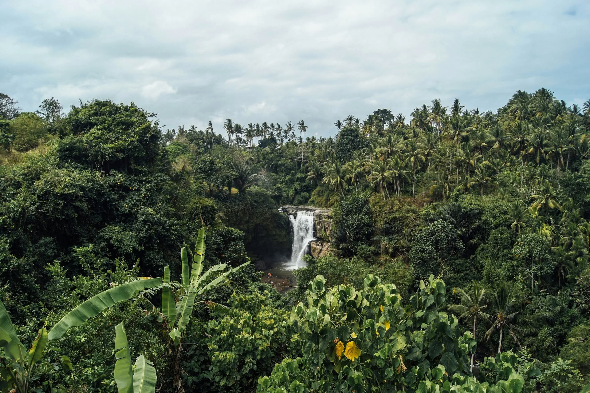Bali fuera de los caminos trillados: día tranquilo en el oeste