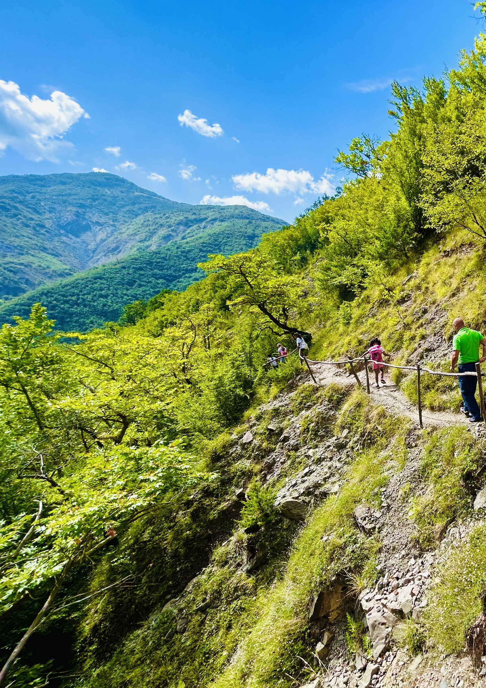 Energía de la cascada: recárgate y reconecta en exuberantes paisajes de montaña