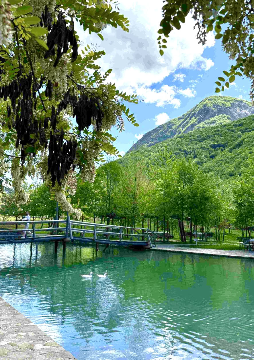 Energía de la cascada: recárgate y reconecta en exuberantes paisajes de montaña