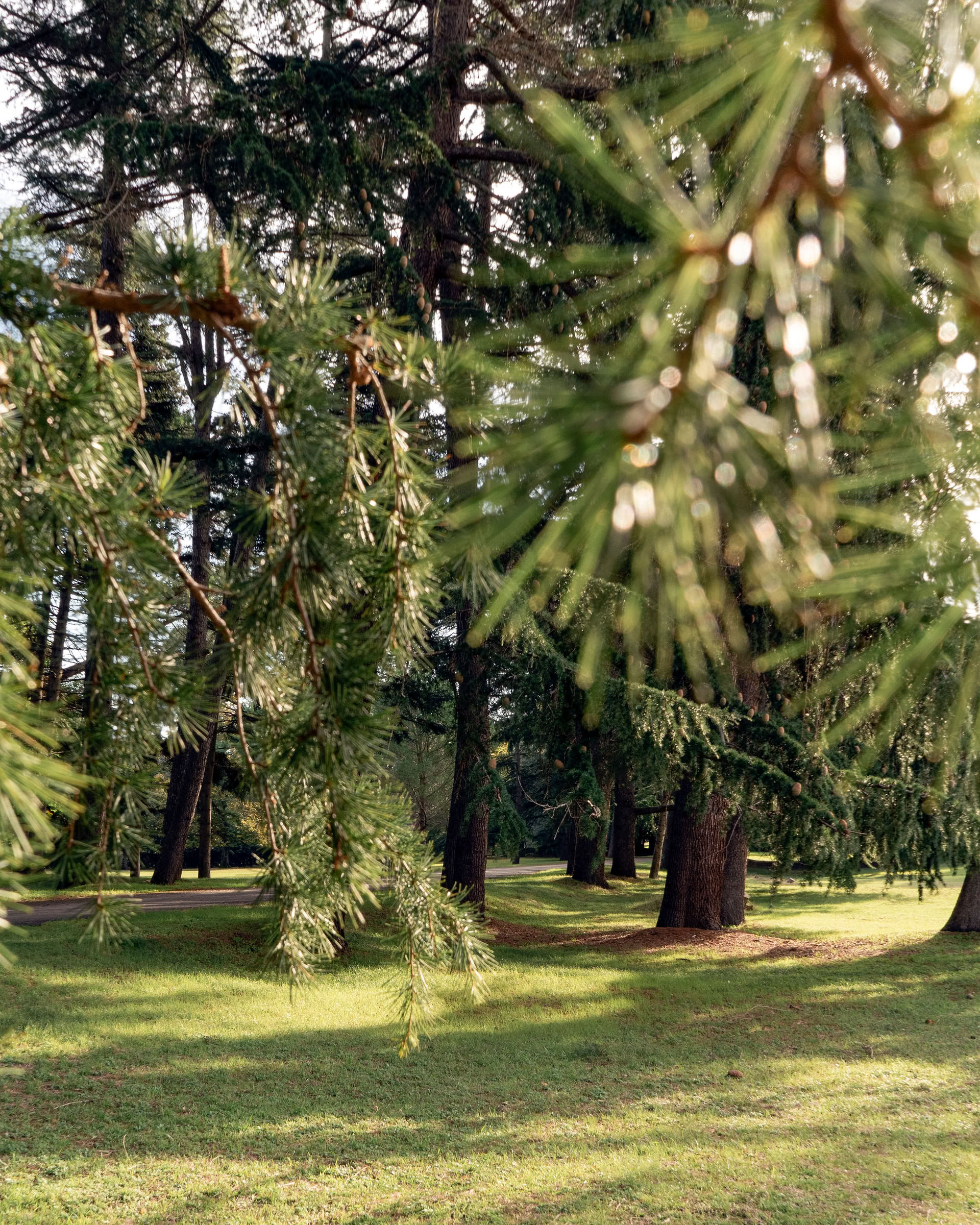 Retiro Vitalnost