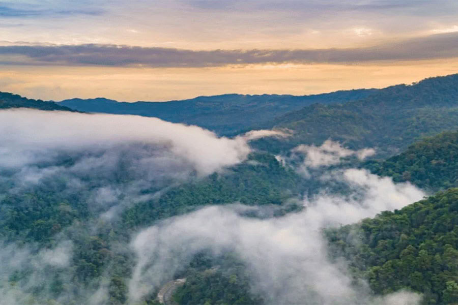 Retiro para Mujeres: Tu Verdadera Naturaleza