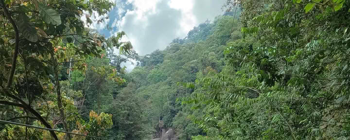 Tirolesa en el río Pacuare