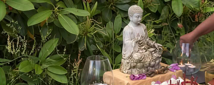 qi gong y meditación