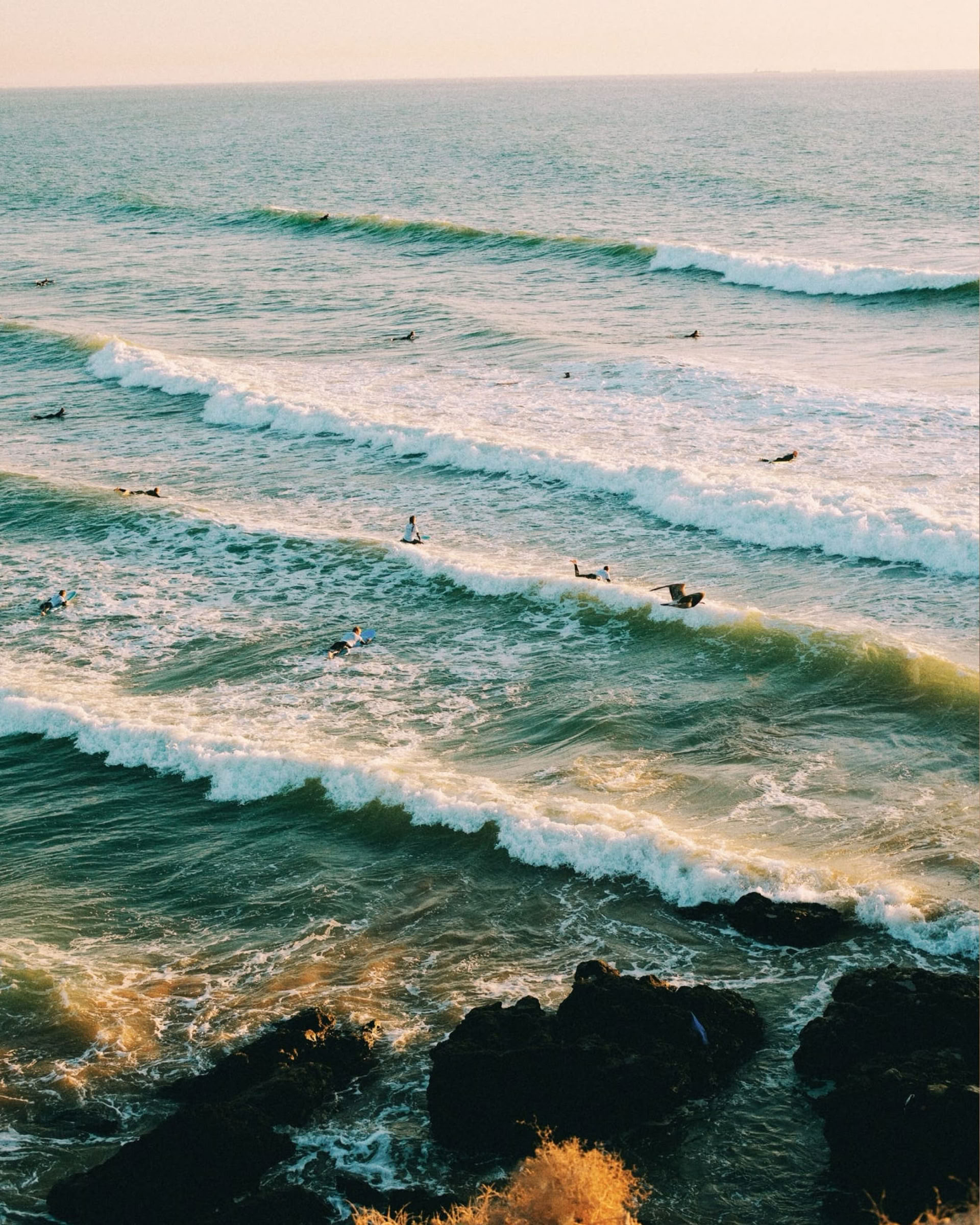Trabaja, surfea y alójate