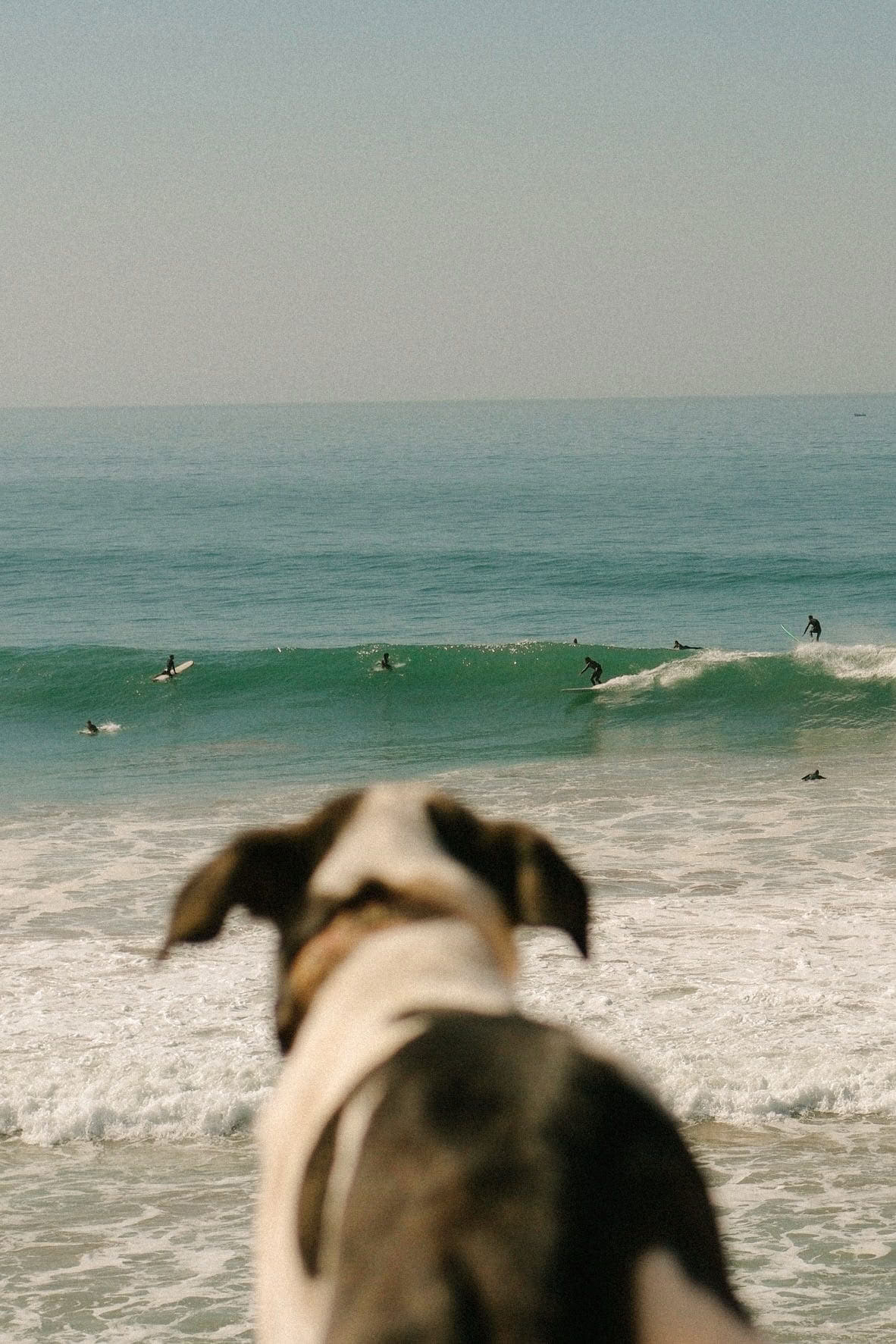Trabaja, surfea y alójate